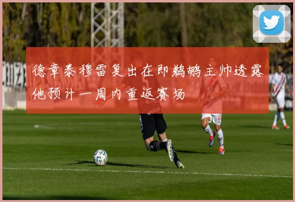 德章泰穆雷复出在即鹈鹕主帅透露他预计一周内重返赛场